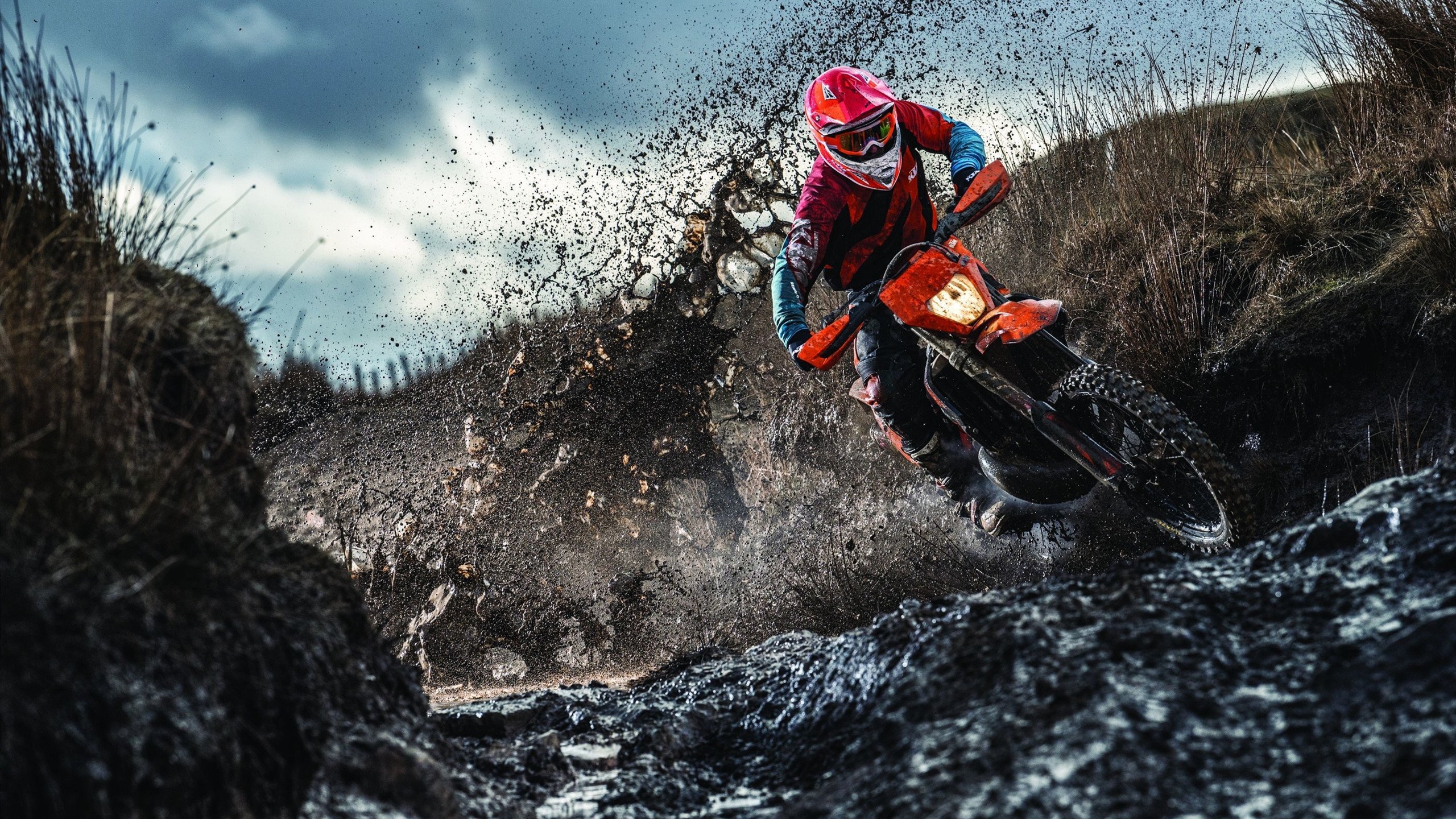 德甲攻守对抗：速度与力量的极限较量，德甲最强